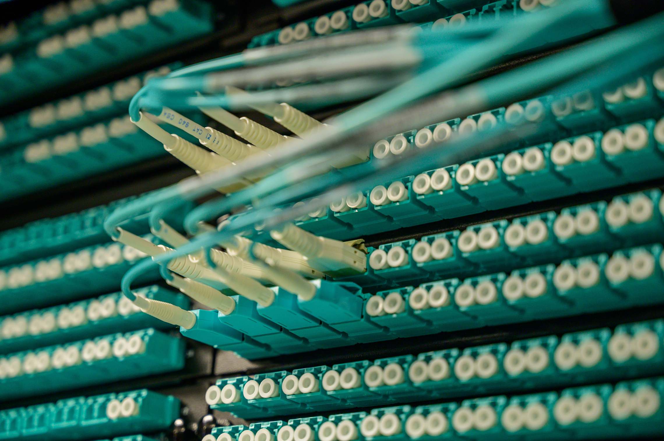 Rows of network servers and cabling in a data hall